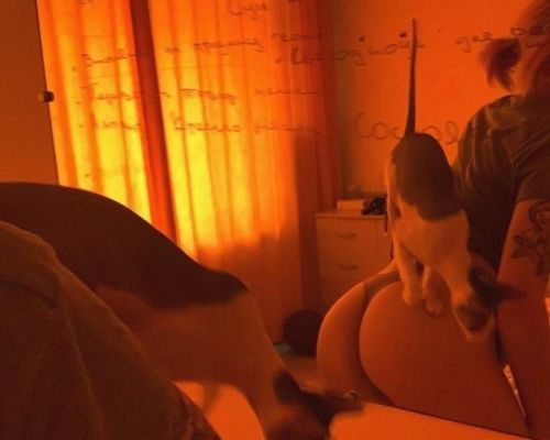 Снять девушку на час (Лиза, 22 лет)